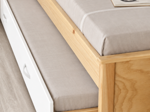 NICHO <span style="font-weight: 300; font-size: 24px; display: block;">cama adicional 100x180</span>